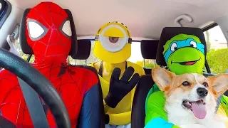 Superheroes Surprise Happy Dog With Dancing Car Ride