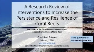 A research review of coral restoration interventions - Stephen Palumbi