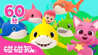 @Bebefinn  3D 鯊魚寶寶舞曲＋更多鯊魚歌特集 👶 嘟嘟嘟  🦈 連續播放 童謠 兒歌 | Baby Shark 碰碰狐 Pinkfong!