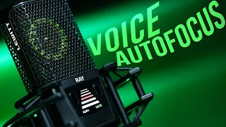 Autofocus for Your VOICE!!! | Lewitt Ray Review