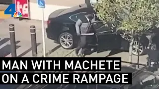 Police Kill Man With Machete After Terrorizing Hollywood | NBCLA