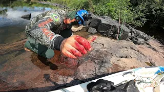 PEIXE QUE JA TIROU A VIDA DE MUITOS!  VEIO NO LAMBARI!  Pescaria!