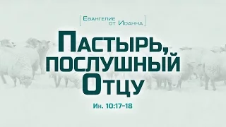 Проповедь: "Ев. от Иоанна: 59. Пастырь, послушный Отцу" (Алексей Коломийцев)