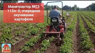 Минитрактор МТЗ 112н-01, очередное окучивание картофеля #минитрактор #мтз #техника