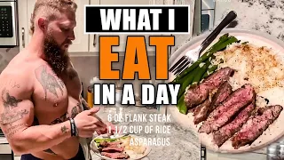 What I Eat in a Day For MMA [Shopping List + Grocery Haul] - Phil Daru