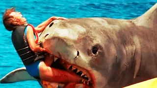 Bait (2012) Film Explained in Hindi/Urdu | Bait Great Shark Summarized हिन्दी