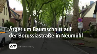 STUDIO 47 .live | ÄRGER UM BAUMSCHNITT AUF DER BORUSSIASTRASSE IN NEUMÜHL