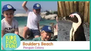 Boulders Beach – Kids Find Fun with Penguins at Boulders Beach (Episode 17)