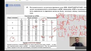 Правило Чаргаффа | Биология ЕГЭ | Cool School