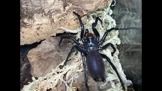 Unboxing The Funnel web