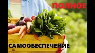 Полное самообеспечение. Возможно ли оно?