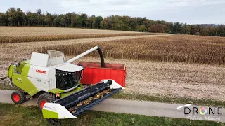 Récolte de tournesol - Claas Tucano 430