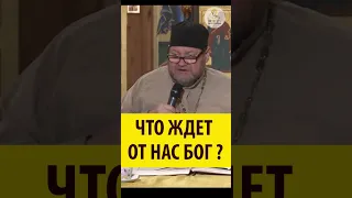 ЧТО ЖДЕТ ОТ НАС БОГ? Священник Олег Стеняев #shorts