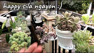 Happy Ang Halaman Pag Ganito Ang Nangyayari :) + Plants Summer Update