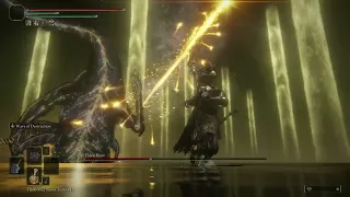 Defeating Elden Beast every day until DLC releases (6)