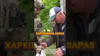 💔ЖАХ! Прифронтові ТЕРИТОРІЇ під обстрілами #shorts