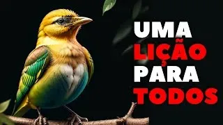 VOCÊ TEM ALGO ESPECIAL | APENAS CONFIE