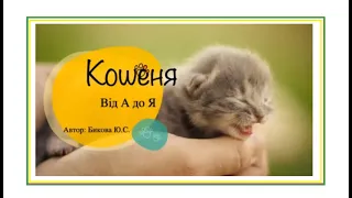 Cat's Breeder expert. Кошеня: інструкція. Юлія Бикова. 11.12.22