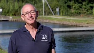 A beautiful insight into sustainable rainbow trout farming that takes place by ChalkStream Foods Ltd