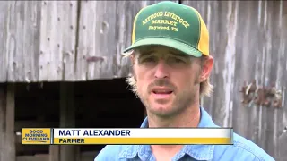 Farmer gives calf with fifth leg on head a loving home