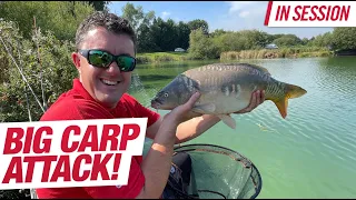 Catch More Carp On Commercials