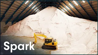 800,000 Tons Of Sugar: The Immense Production Scale Of Australia's Sugar Capital