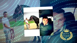 Halasi Fiúk - Grófónak a lovaskirálynak születésnapjára kedveskedik családja