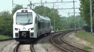 Arriva Flirt 3 (Drielandentrein) komt door Schin op Geul (NL) (19-5-2019)