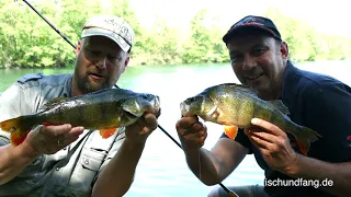 Matze Koch: Mit Grundel auf Barsch - Matzes Mätzchen 06-2018