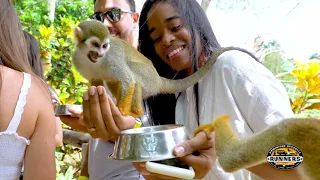 Monkeyland Punta Cana, Dominican Republic