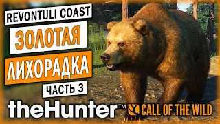 НУЖНО БОЛЬШЕ ЗОЛОТА!!! ОХОТА В ФИНЛЯНДИИ! | theHunter Call of the Wild 🦆 | (часть 3)