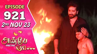 Anbe Vaa Serial | Episode 921 | 2nd Nov 2023 | Virat | Delna Davis | Saregama TV Shows Tamil