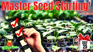 Transform Your Gardening Game: A Beginner's Seed Starting Guide