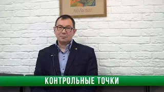 Адванта ч. 4 Привязка к контрольным точкам проекта