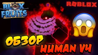 [БФЧИК] ОБЗОР ФУЛЛ HUMAN V4 в БЛОКС ФРУТС 😱 Roblox Blox Fruits