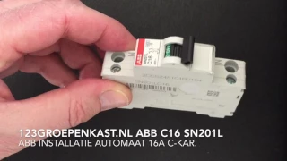 ABB Installatie Automaat C16 - SN201L - 123GroepenKast.nl