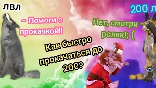 как быстро прокачаться до 200 лвл? в Wildcraft!💗