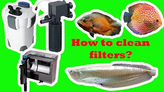 How to clean your aquarium filters|Canister Filters|Internal Filter|Hang On Back Filter