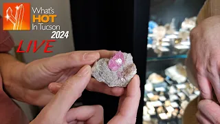 Arkfeld Minerals - What's Hot In Tucson: 2024 LIVE