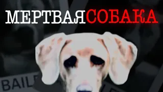 dog nightmares | Мертвая собака