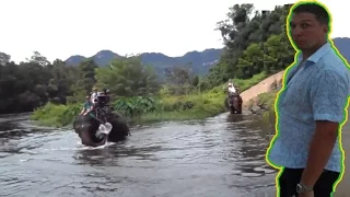 Верхом на слоне через реки Таиланда!