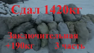 Сдал всю чагу накопленную за 3 месяца.