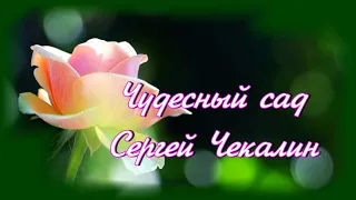 ЧУДЕСНЫЙ САД! СЕРГЕЙ ЧЕКАЛИН!🎶🌺🎶Чарующая музыка,красивое видео для души!🌹🎶🌹