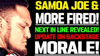 WWE News! Samoa Joe & More WWE Releases In 2022! WWE Backstage Morale! Roman Reigns NEXT! AEW News