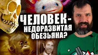 Люди - недоразвитые обезьяны? Александр Соколов | Странная обезьяна | В мире гипотез