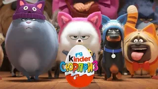 Kinder surprise Тайная жизнь домашних животных 2