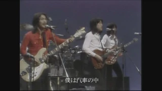 チューリップ　心の旅　1972