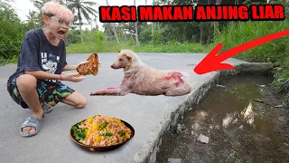 MIRIS!!! BOCIL MENEMUKAN ANJING LIAR DI SELOKAN KELAPARAN LANGSUNG DIKASI MAKAN!