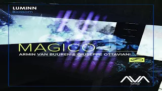 Luminn vs Armin van Buuren & Giuseppe Ottaviani - Blossom vs Magico (Armin van Buuren Mashup)