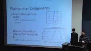 Quantitative Antigen Detection Using Fluorescence Quenching Competitive Immunoassay